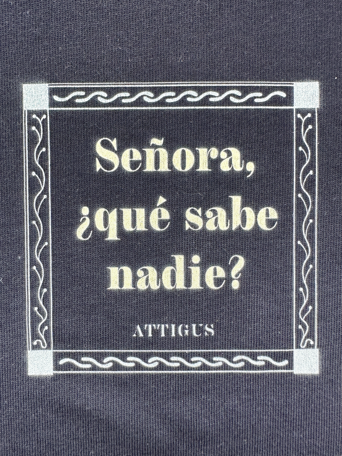 ATTIGUS_Jeannedelanteradetalle